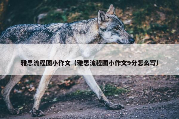 雅思流程图小作文（雅思流程图小作文9分怎么写）