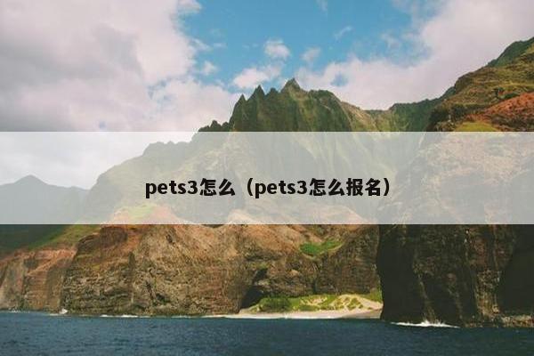 pets3怎么（pets3怎么报名）