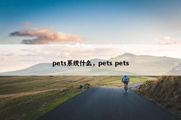 pets系统什么，pets pets