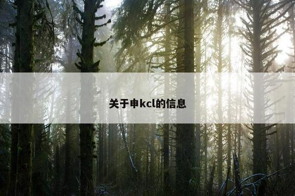 关于申kcl的信息