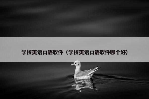 学校英语口语软件（学校英语口语软件哪个好）