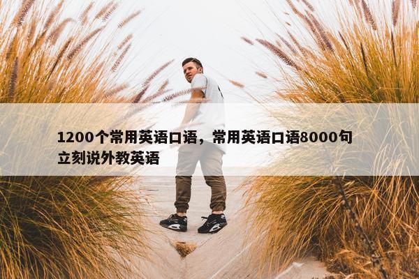 1200个常用英语口语，常用英语口语8000句  立刻说外教英语