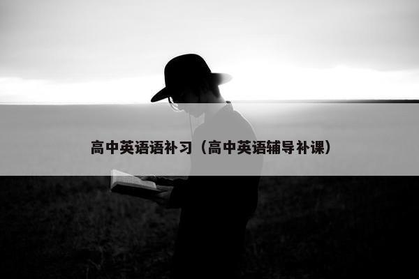 高中英语语补习（高中英语辅导补课）