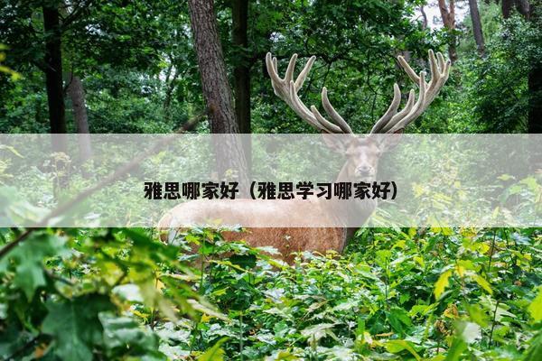 雅思哪家好（雅思学习哪家好）