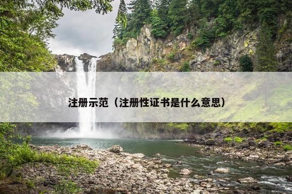 注册示范（注册性证书是什么意思）
