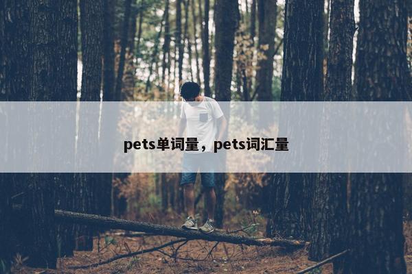pets单词量，pets词汇量