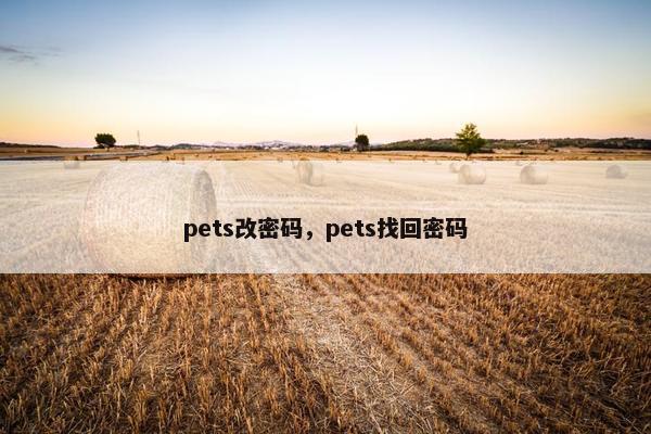 pets改密码，pets找回密码