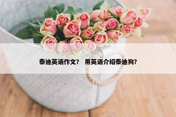 泰迪英语作文？ 用英语介绍泰迪狗？