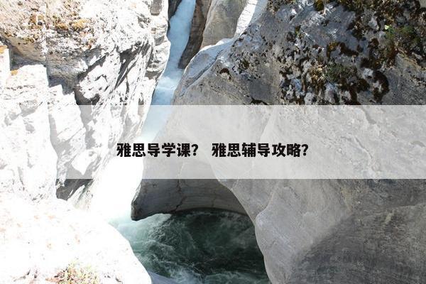 雅思导学课？ 雅思辅导攻略？