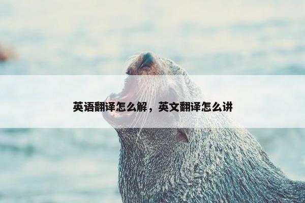 英语翻译怎么解，英文翻译怎么讲