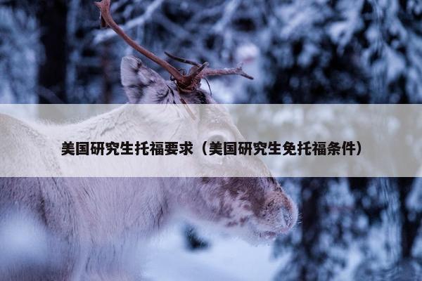 美国研究生托福要求（美国研究生免托福条件）