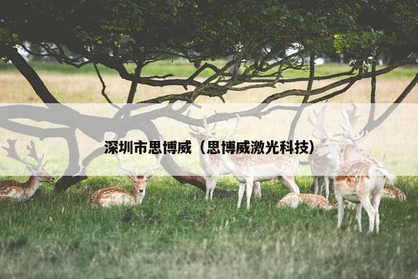 深圳市思博威（思博威激光科技）
