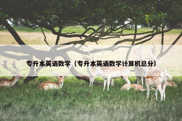 专升本英语数学（专升本英语数学计算机总分）
