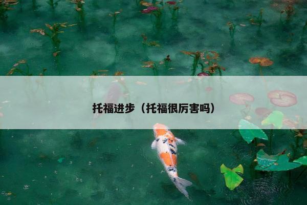 托福进步（托福很厉害吗）