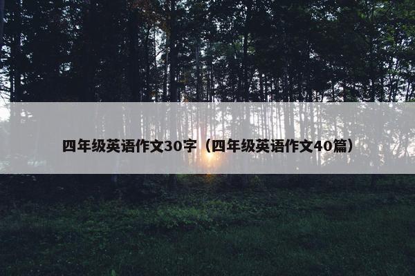 四年级英语作文30字（四年级英语作文40篇）