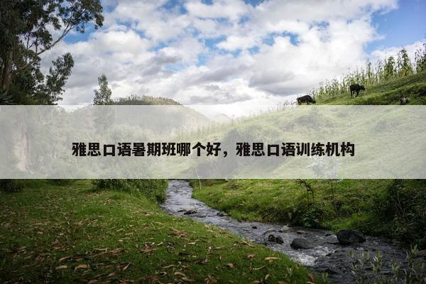 雅思口语暑期班哪个好，雅思口语训练机构