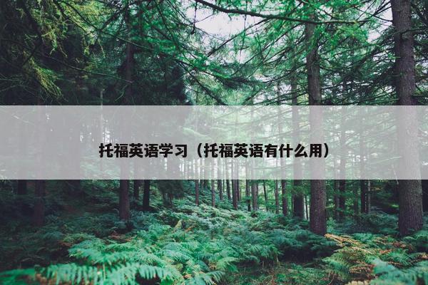 托福英语学习（托福英语有什么用）