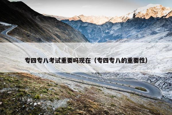 专四专八考试重要吗现在（专四专八的重要性）