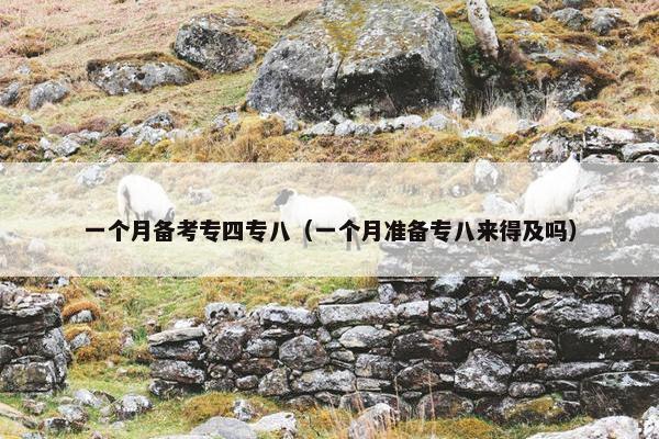 一个月备考专四专八（一个月准备专八来得及吗）