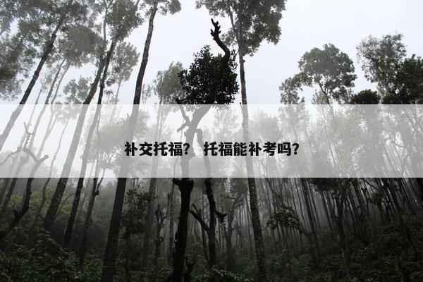 补交托福？ 托福能补考吗？