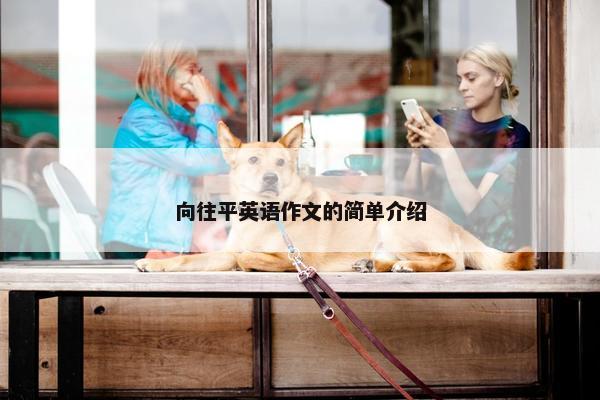 向往平英语作文的简单介绍