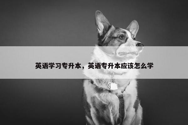 英语学习专升本，英语专升本应该怎么学