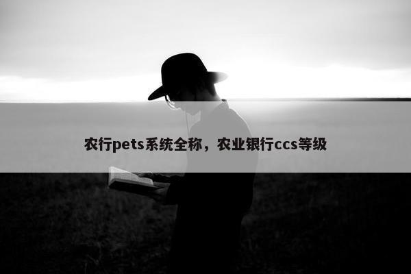 农行pets系统全称，农业银行ccs等级