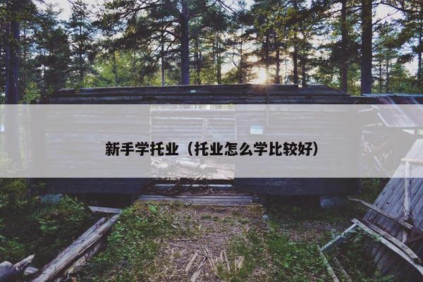 新手学托业（托业怎么学比较好）