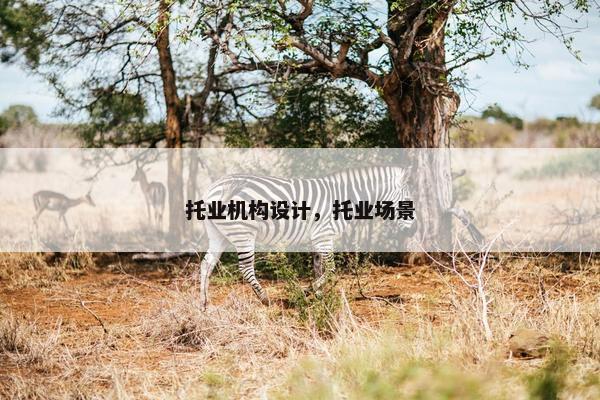 托业机构设计，托业场景