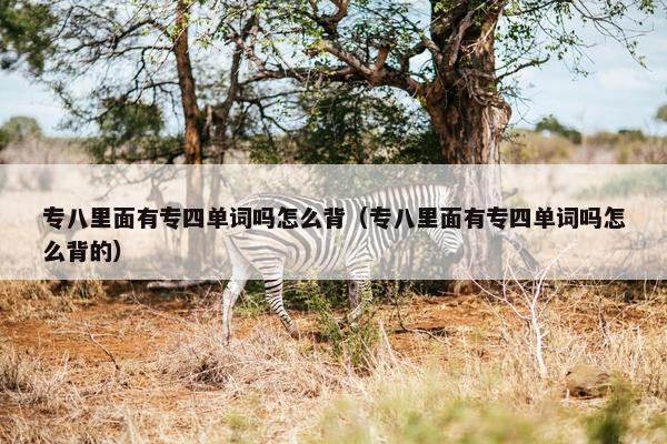 专八里面有专四单词吗怎么背（专八里面有专四单词吗怎么背的）
