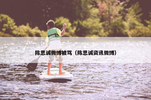 陈思诚微博被骂（陈思诚资讯微博）