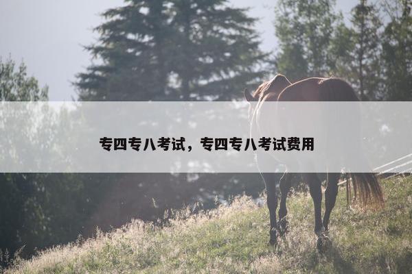 专四专八考试，专四专八考试费用