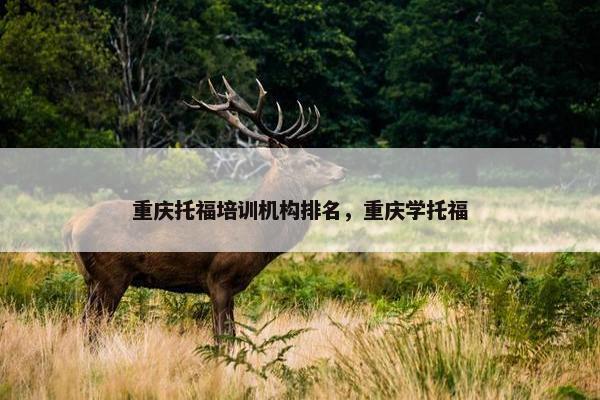 重庆托福培训机构排名，重庆学托福