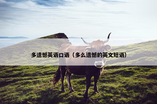 多遗憾英语口语（多么遗憾的英文短语）