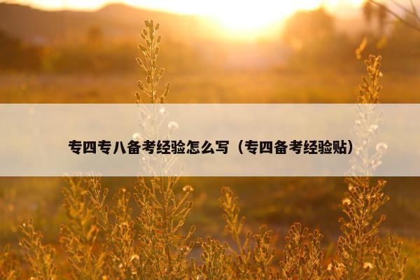 专四专八备考经验怎么写（专四备考经验贴）