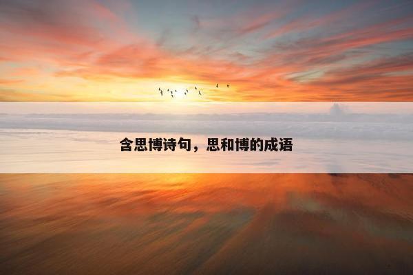 含思博诗句，思和博的成语