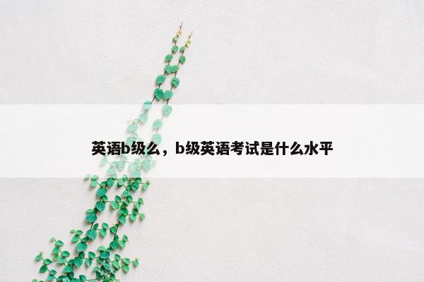 英语b级么，b级英语考试是什么水平