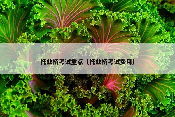 托业桥考试重点（托业桥考试费用）