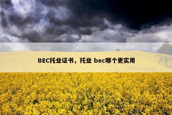 BEC托业证书，托业 bec哪个更实用