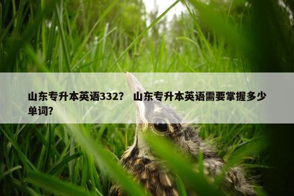 山东专升本英语332？ 山东专升本英语需要掌握多少单词？