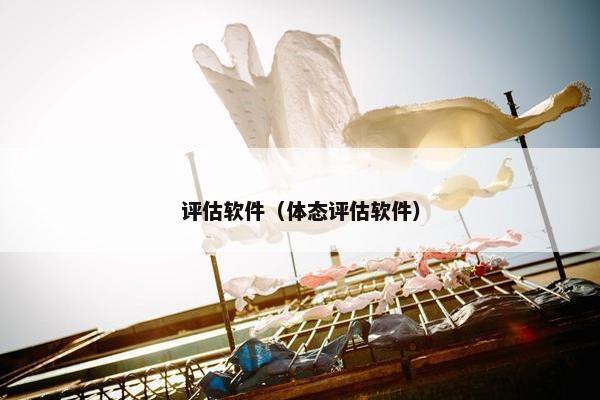 评估软件（体态评估软件）