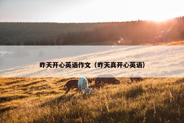 昨天开心英语作文（昨天真开心英语）