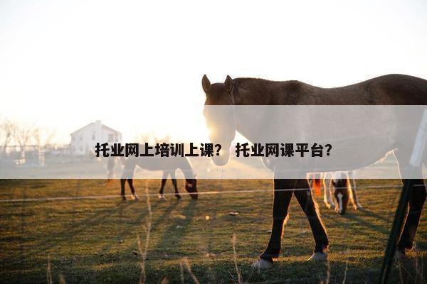 托业网上培训上课？ 托业网课平台？