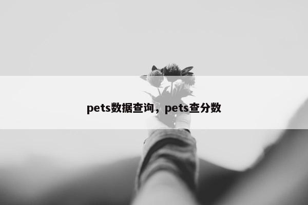 pets数据查询，pets查分数