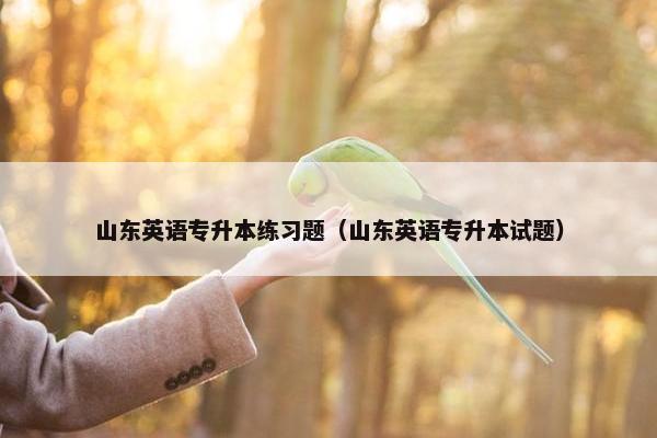 山东英语专升本练习题（山东英语专升本试题）