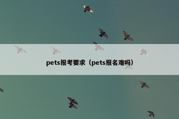 pets报考要求（pets报名难吗）