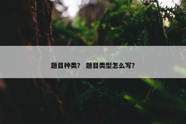题目种类？ 题目类型怎么写？