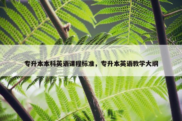 专升本本科英语课程标准，专升本英语教学大纲