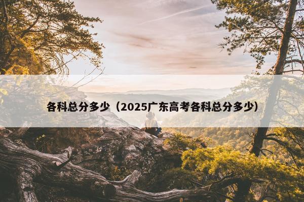 各科总分多少（2025广东高考各科总分多少）
