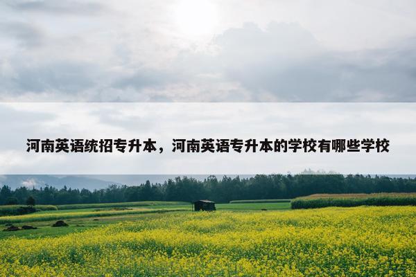 河南英语统招专升本，河南英语专升本的学校有哪些学校